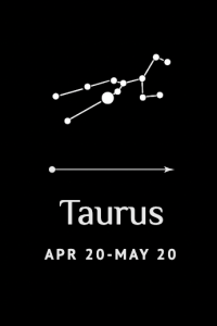 Taurus (April 20 - May 20)