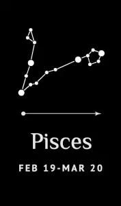 Pisces (February 19 - March 20)