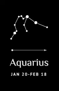 Aquarius (January 20 - February 18)