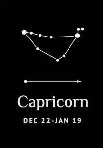 Capricorn (December 22 - January 19)