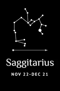 Sagittarius (November 22 - December 21)