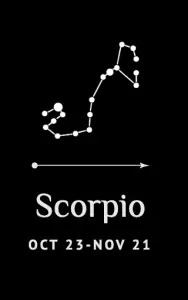 Scorpio (October 23 - November 21)